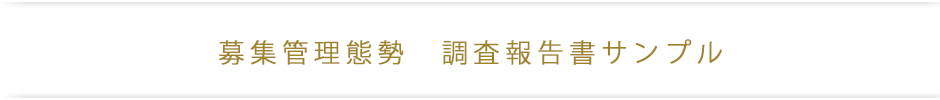 保険募集管理体制 調査報告書サンプル