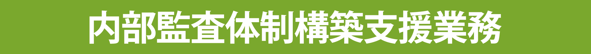 内部監査体制構築支援業務